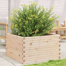 Flower Pots & Planters