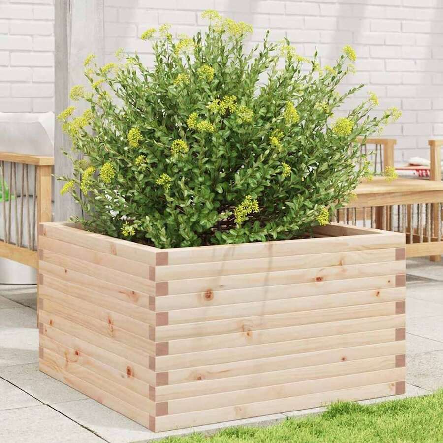 Flower Pots & Planters