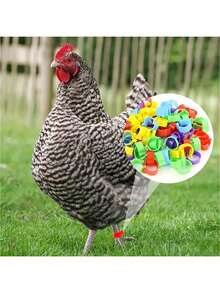 20/50/100 piezas de anillos para patas de pollo de colores aleatorios, bandas de plástico de colores para patas de aves de corral, hebillas para patas de pollo, pato, ganso, pavo, anillos para patas de paloma, marcas de identificación, adecuados para granjeros y criadores de aves de corral, etiquetas de identificación fáciles de usar, adecuados para la gestión e identificación de granjas, almacenamiento de cables de datos, adecuados para el almacenamiento de viajes
