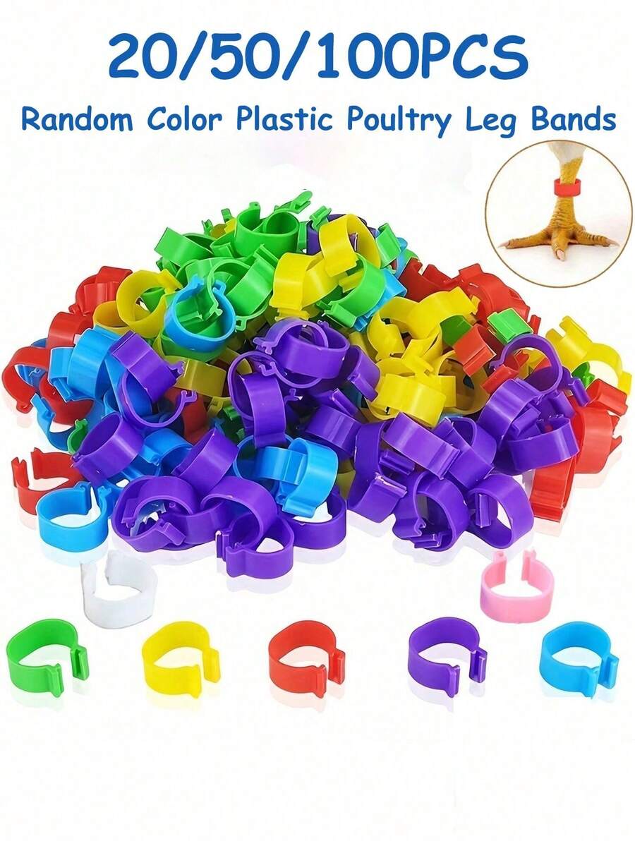 20/50/100 piezas de anillos para patas de pollo de colores aleatorios, bandas de plástico de colores para patas de aves de corral, hebillas para patas de pollo, pato, ganso, pavo, anillos para patas de paloma, marcas de identificación, adecuados para granjeros y criadores de aves de corral, etiquetas de identificación fáciles de usar, adecuados para la gestión e identificación de granjas, almacenamiento de cables de datos, adecuados para el almacenamiento de viajes