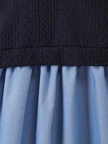 Young Girls' Preppy Style Embroidered Peter Pan Collar 2 In 1 Long Sleeve Patchwork Dress