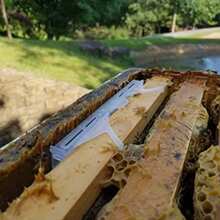 12X Clear Plastic Reusable Bee Hive Beetle Trap Hive Beetle Beekeeping Supplies