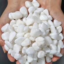 500g/1000g/2500g 0.52-0.81cm White Pebbles For Garden And Aquarium Landscaping, Decorative Pebbles Suitable For Garden, Aquarium, Vase Filler, Crafts And Landscaping - White - View 5