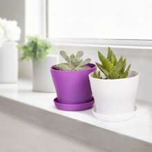 TDHDIKE 10 Pcs Plastic Planters Indoor Pots, Mini Flower Seedlings Nursery Flower Pot With Pallet, Modern Decorative Gardening Containers - 紫色 - 查看 5