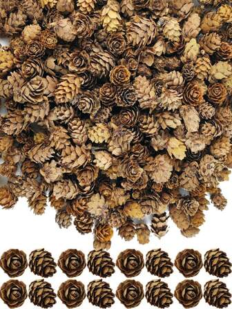 20 个人造松果、迷你工艺品松果、天然松果饰品、棕色散装松果装饰品，适用于冬季家居装饰、圣诞工艺品用品、DIY 装饰品、花瓶填充物、秋季装饰（本产品为摄影道具、人造植物，不可食用）