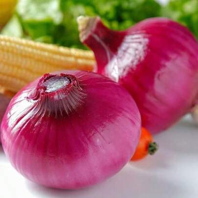 1000pcs Heirloom Red Onion Seeds For Potted Balcony Garden Highyield Extra Large Purple Skin