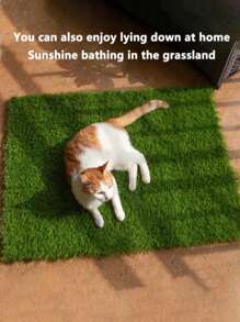 Pet Potty Training Pad - Artificial Grass Puppy Pee Pad, Realistic Dog Lawn Mat For Indoor/Outdoor Use, Washable Bathroom Turf For Cats & Dogs, Anti-Slip Pet Toilet Mat