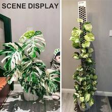 8 Pcs 17 Inch Plastic Moss Pole For Plants Monstera, Designed Specifically For Climbing Plants, Stackable Plant Support For Indoor Plants - Trong suốt *6 cái - Xem 5