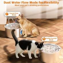 2,2L/74oz, 3,2L/108oz Fonte de Água para Gatos, Fonte de Água Automática de Aço Inoxidável para Animais de Estimação, Adequada para Gatos e Cães, Fonte de Água de Metal para Gatos e Cães, com Janela de Nível de Água, Bomba Ultra-Silenciosa, Fonte de Água para Animais de Estimação, Dispensador de Água Silencioso, Fonte de Água para Gatos, Fácil de Limpar e Instalar, Design de Torneira Bonito, Excelente Sistema de Filtração