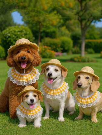 1 stuk Happy Pet: Pastoral Porch Goose, Pet Goose-kleding geschikt voor katten en honden