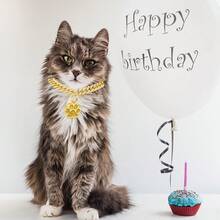 Collar de gato con diamantes, collar cubano con purpurina, metal para caminar con hebilla segura, collar de gato y mascota con eslabones de pata, accesorios de joyería con campana de identificación para gatos pequeños (dorado, 10 pulgadas) - dorado - Ver 7
