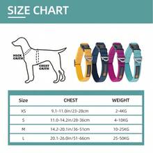 舒适的内衬狗项圈，同品牌设计，适合中大型宠物 - 彩色 - 查看 2