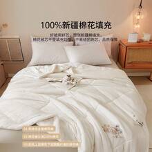 Duvets & Down Comforters