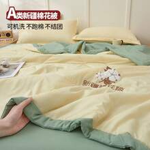 Duvets & Down Comforters