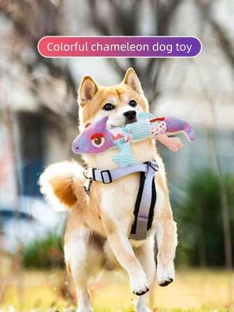 1pc Pet Toy Plush Squeaky Chew Toy For Small Dogs, Teddy, Poodle Puppy, Random Color