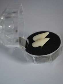 4 对万圣节吸血鬼僵尸假牙，恶搞假牙玩具，派对假牙，尖牙妆容，舞会假牙配件化妆道具，角色扮演派对吸血鬼牙套，万圣节礼物赠送他人 - 彩色 - 查看 5