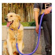 Double Strand Rope Large Dog Leashes Metal P Chain Buckle National Color Pet Traction Rope Collar Set For 1.2m Length