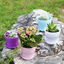 TDHDIKE 10 Pcs Plastic Planters Indoor Pots, Mini Flower Seedlings Nursery Flower Pot With Pallet, Modern Decorative Gardening Containers - 紫色 - 查看 7