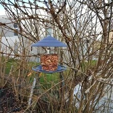 1pc Outdoor Bird Feeder Lantern Bird Feeder Bird Dispenser Waterproof Hanging Bird Feeder For House Garden