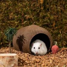 1Pc Reptile Vines Plants With Coconut Shell Ladder Hideout Hermit Crab Decor For Bearded Dragon Lizard Chameleon Tortoise Snake