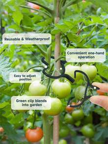 100/200Pcs Horticultural Clips Butterfly Clasp Plant Garden Fixing Clips 3 Sizes Planting Support Grippers Great For Flower Vine&Vegetable Lever Loop Clamp Holding Stems,Ties For Vines,Flowers&Vegetables,Garden Grid Holders For Secure Stem Clamping - Green - View 7