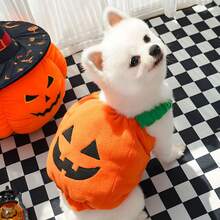 Funny Pumpkin Dog Halloween Costume Pet Dog Cat Thick Plush Pumpkin Decoration Shirt Clothes For Small Medium Dogs Cats Puppy Cute Halloween Party Cosplay Dress Up Outfits (Pet Hats And Clothes Need To Be Purchased Separately) Halloween Halloween Costumes - Multicolor - View 7