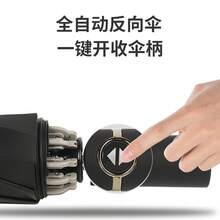 Umbrellas And Rain Hat Umbrellas - [Opaque Umbrella Cloth] - Black - View 3