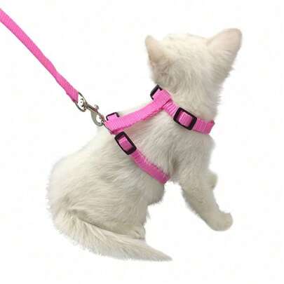 Bộ dây dắt mèo bằng nylon - Dây kéo có hoa văn có thể điều chỉnh cho mèo - Dây dắt bền bỉ dài 4 feet để dắt đi dạo và huấn luyện