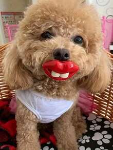 1 件趣味咀嚼宠物玩具，互动红唇狗玩具，趣味和牙齿卫生 - 耐用咀嚼游戏配件，圣诞节