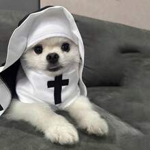 1pc Pet Halloween Costume Hoodie, Funny Cosplay Photography Prop For British Shorthair, Teddy, Poodle, Puppy, Kitten, Gothic Style, Suitable For Spring, Autumn, Winter