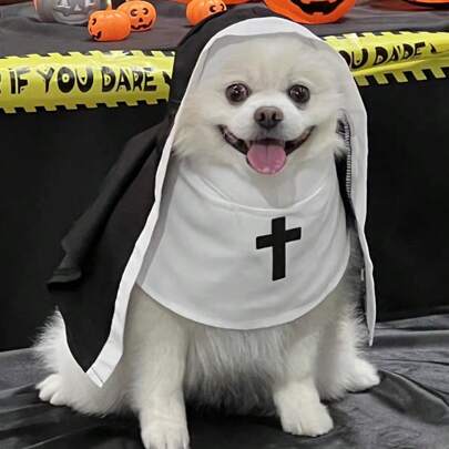 1pc Pet Halloween Costume Hoodie, Funny Cosplay Photography Prop For British Shorthair, Teddy, Poodle, Puppy, Kitten, Gothic Style, Suitable For Spring, Autumn, Winter