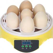 Mini Incubadora De Huevos, Mini Incubadora De Huevos De 7 Huevos, Máquina Para Incubar Huevos Transparentes, Control Automático De Temperatura Para Huevos De Pollo, Pato Y Pájaro - Amarillo - Ver 2