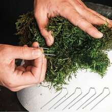 100 piezas de alfileres florales, alfileres en U florales de 1.7 pulgadas, alfileres pequeños para manualidades, plantas, helechos, para ramos de flores, espuma, coronas de paja, suministros para arreglos florales, proyectos de costura DIY