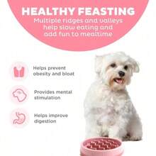 Outward Hound Fun Feeder Slo Bowl, Slow Feeder Dog Bowl, Medium/Mini, Turquoise - 粉色 - 查看 2