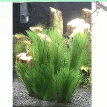 Aquarium Decor Accessories, Artificial Water Plants, Grass Ornaments For Fish Tank Landscaping - Multicolor - View 5
