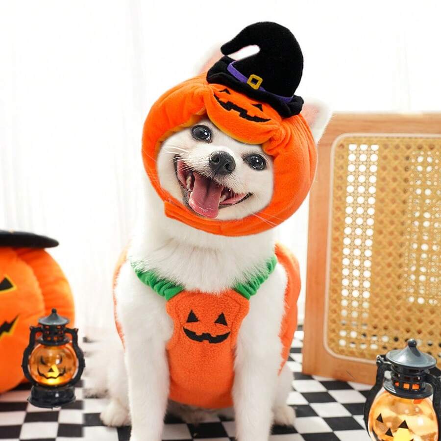 Funny Pumpkin Dog Halloween Costume Pet Dog Cat Thick Plush Pumpkin Decoration Shirt Clothes For Small Medium Dogs Cats Puppy Cute Halloween Party Cosplay Dress Up Outfits (Pet Hats And Clothes Need To Be Purchased Separately) Halloween Halloween Costumes - Multicolor - View 1