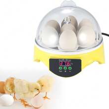 Mini Incubadora De Huevos, Mini Incubadora De Huevos De 7 Huevos, Máquina Para Incubar Huevos Transparentes, Control Automático De Temperatura Para Huevos De Pollo, Pato Y Pájaro - Amarillo - Ver 4