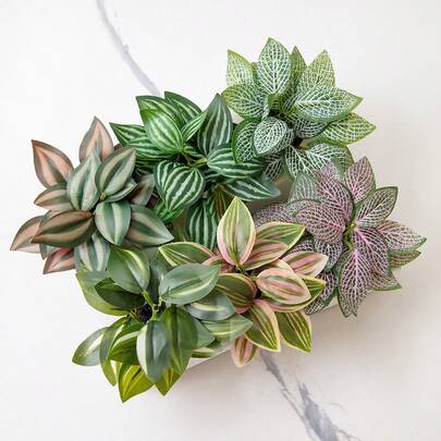 3/6片装高品质仿真盆栽植物叶片，包括网状草、斑马纹胡椒草、胡椒草，迷你盆栽，粉色/绿色可选，PE材质，适用于户外派对装饰、花园装饰、丰收节、圣诞节盆栽。