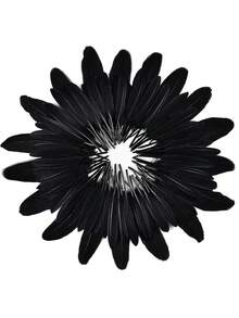 50 chiếc lông tự nhiên đa năng nhiều màu số lượng lớn cho đám cưới, tiệc tùng, trang trí Halloween - màu đen - Xem 4