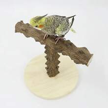 Sichuan Pepper Wood Parrot Toy T-Shaped Game Frame - Multifunctional Climbing Training Stand, Claw Grinding Stand | Chewing Toy | T-Shaped Game Frame Bird Climbing Ladder Training Stand - Multicolor - View 6