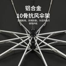 Umbrellas And Rain Hat Umbrellas - [Opaque Umbrella Cloth] - Black - View 4