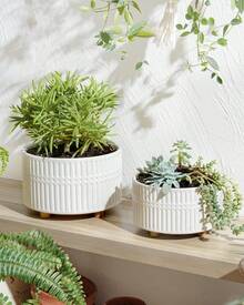 Succulent Pots, 6.5+8 Inch Ceramic Indoor Plant Pot With Drainage Hole, Shallow Round Succulent Planters, Set Of 2, Matte White,11037801