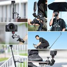 Interior & Convenience Bulbs