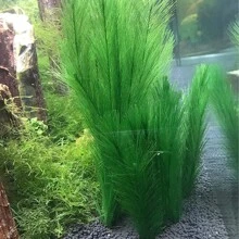 Aquarium Decor Accessories, Artificial Water Plants, Grass Ornaments For Fish Tank Landscaping - Multicolor - View 2