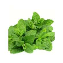 Fgjdgjdd Healing Flower Seeds 346pcs Traditional Mint Seeds: 500 Mint Seeds, Non-Transgenic Gardening Seeds, Suitable For Indoor And Outdoor Planting, Used To Make Aromatic Tea Garden Suitable For Gifts - 346 - 查看 5