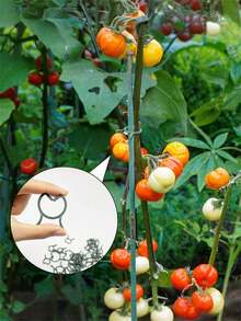100/200Pcs Horticultural Clips Butterfly Clasp Plant Garden Fixing Clips 3 Sizes Planting Support Grippers Great For Flower Vine&Vegetable Lever Loop Clamp Holding Stems,Ties For Vines,Flowers&Vegetables,Garden Grid Holders For Secure Stem Clamping - Green - View 4
