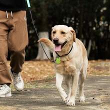 短距离防丢失报警器，适用于宠物、钥匙、钱包、贵重物品、老人的蓝牙追踪器定位器，兼容苹果和安卓设备，小巧方便，适用于物品丢失提醒（当绑定设备离开 25 米以上时）和丢失后的准确搜索（当在 25 米的粗略范围内找到时）