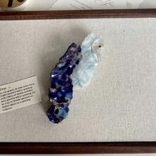 海洋沙滩系列:大白鲨、水母、海马发夹,新款醋酸纤维鲸鱼发夹,夏日条纹鱼发夹,海洋发爪,百搭时尚发饰,清爽发夹,适合女孩和女士。 - 彩色 - 查看 20