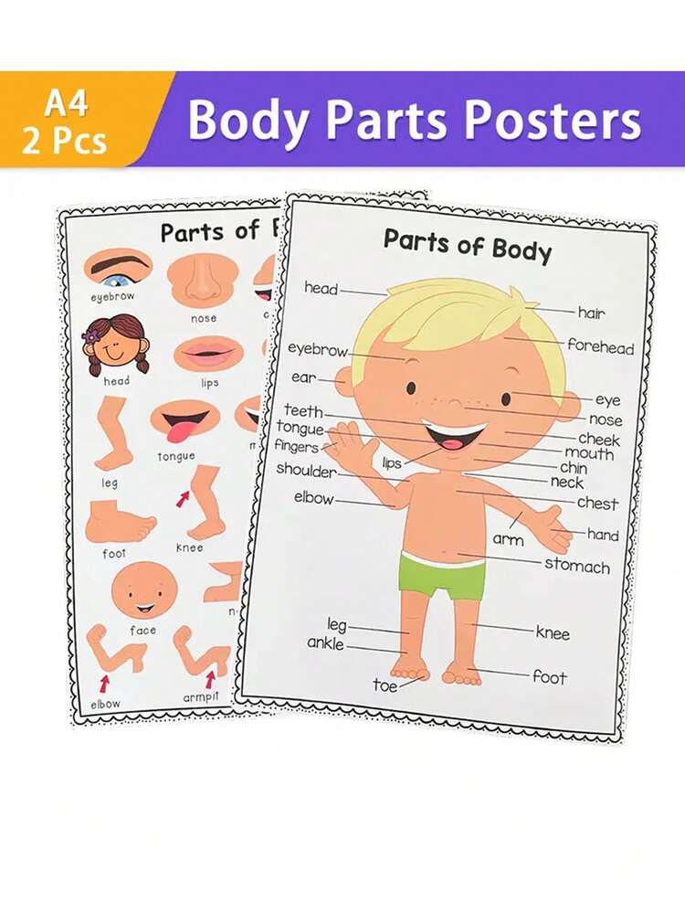 2 件身体部位学习文本学龄前教室装饰海报、家庭和学校用品、学校教育海报 - 彩色 - 查看 8
