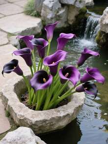 4pcs/10pcs-Artificial Calla Lilies, Fake Flower Bouquet, Suitable For Wedding Party Garden Decoration, Real Touch Faux Flower For Living Room, Bedroom, Dining Table, Office Decoration, Christmas Bouquet, Spring And Winter Decoration, Home Decoration Flowers